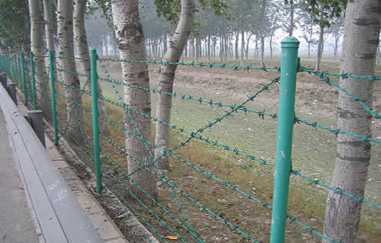 刺丝围栏