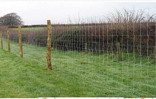 养羊围栏网