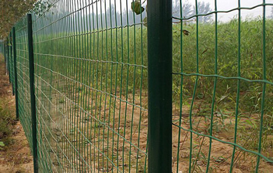 綠色圍欄網